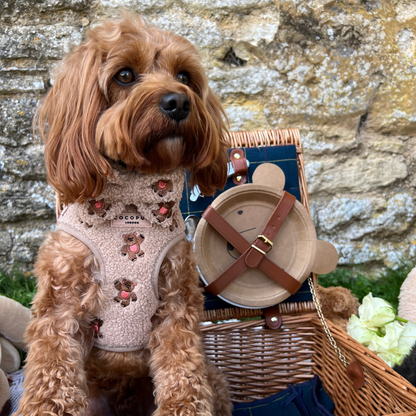 COCOPUP London - Hundegeschirr - Theo Teddy