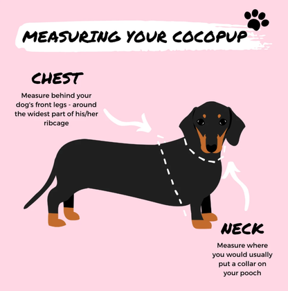 COCOPUP London - Hundegeschirr - Theo Teddy