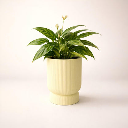 Blumentopf mit Abtropfschale modern | minimalistischer Pflanztopf | 3D Druck Topf | Indoor Pflanzen Topf | Geschenk Idee